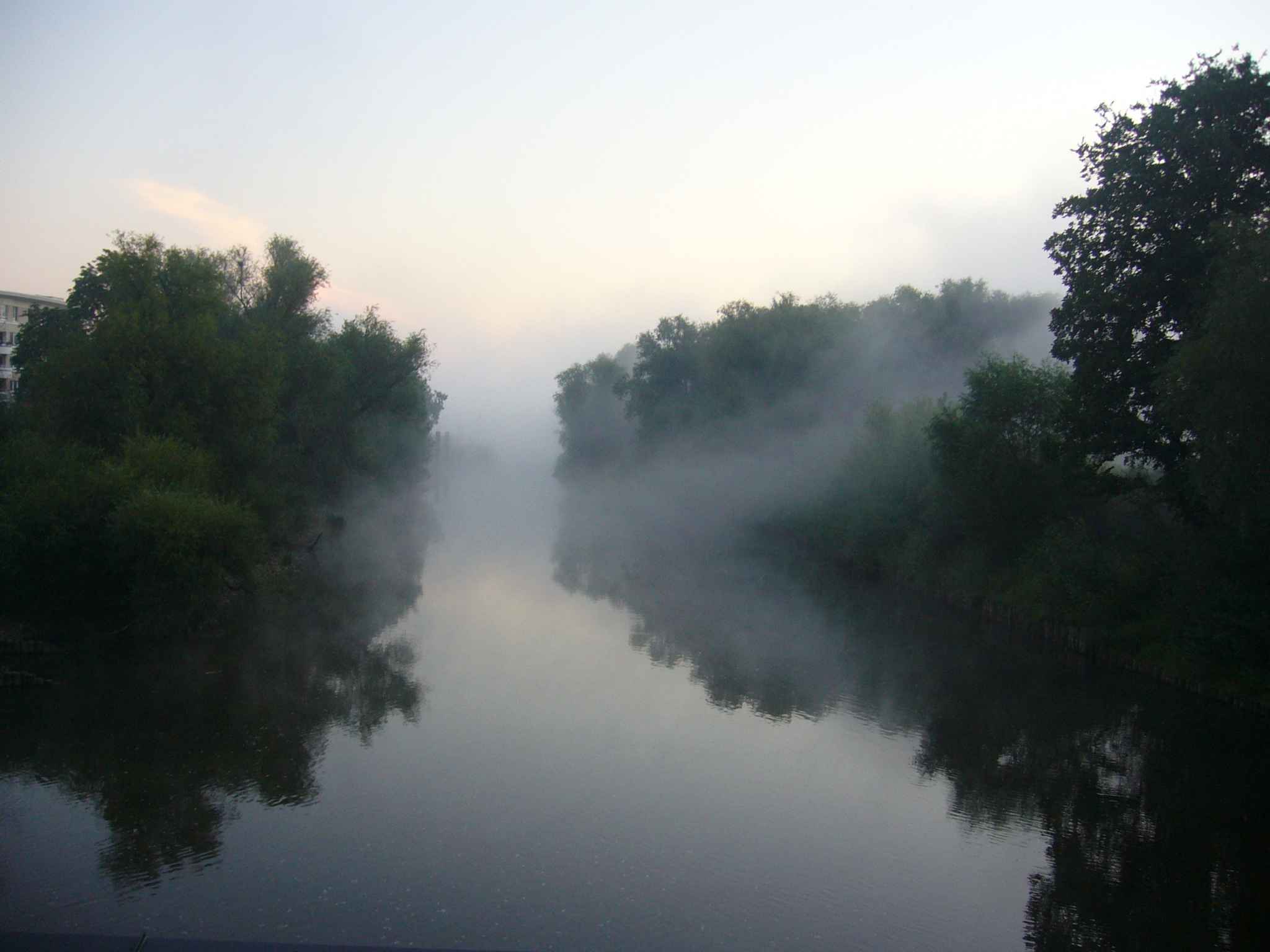 Nebel auf der Oder